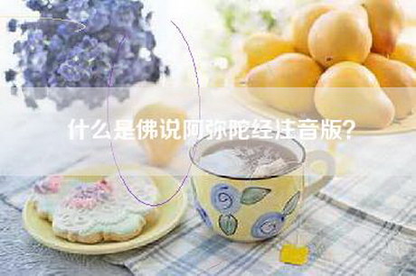 什么是佛说阿弥陀经注音版？