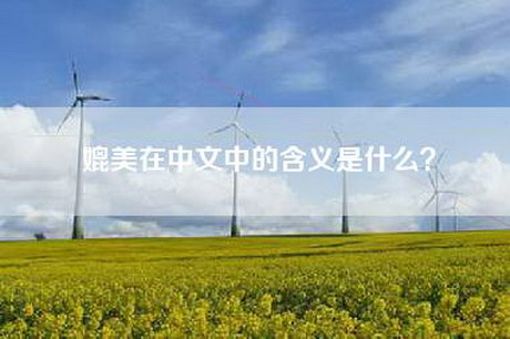 媲美在中文中的含义是什么？