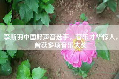 李斯羽中国好声音选手，音乐才华惊人，曾获多项音乐大奖