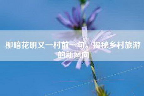 柳暗花明又一村前一句，揭秘乡村旅游的新风向