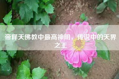帝释天佛教中最高神明，传说中的天界之王