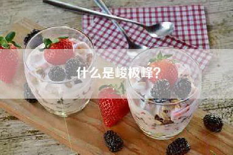 什么是峻极峰？