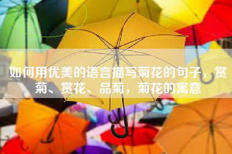 如何用优美的语言描写菊花的句子，赏菊、赏花、品菊，菊花的寓意