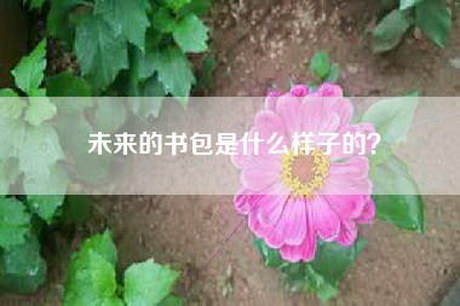 未来的书包是什么样子的？