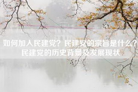 如何加入民建党？民建党的宗旨是什么？民建党的历史背景及发展现状