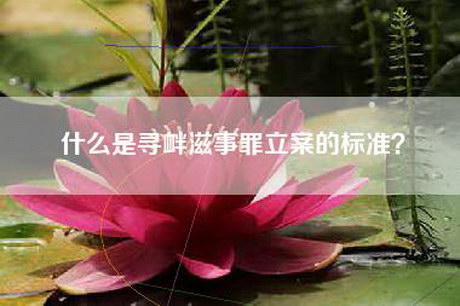 什么是寻衅滋事罪立案的标准？