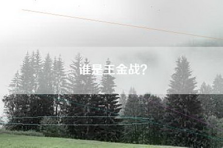 谁是王金战？