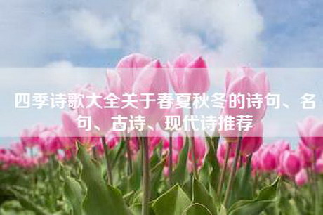 四季诗歌大全关于春夏秋冬的诗句、名句、古诗、现代诗推荐