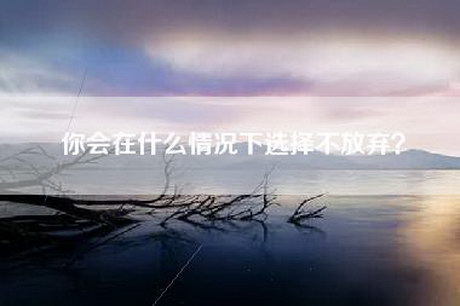 你会在什么情况下选择不放弃？