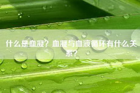 什么是血凝？血凝与血液循环有什么关系？