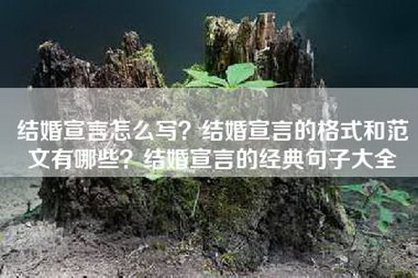 结婚宣言怎么写？结婚宣言的格式和范文有哪些？结婚宣言的经典句子大全