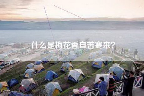 什么是梅花香自苦寒来？