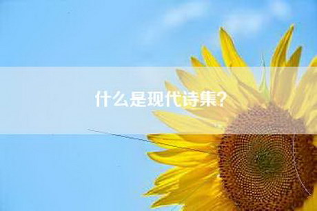什么是现代诗集？