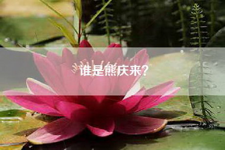 谁是熊庆来？