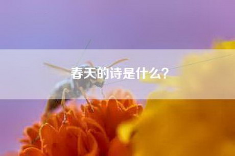 春天的诗是什么？