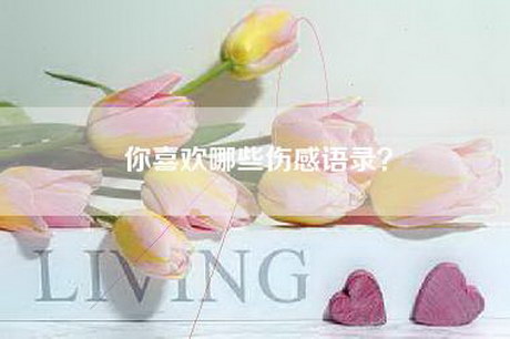 你喜欢哪些伤感语录？