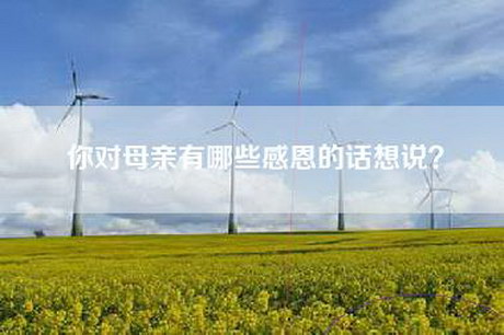 你对母亲有哪些感恩的话想说？