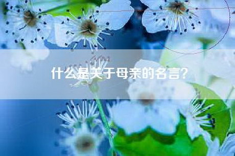 什么是关于母亲的名言？