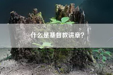 什么是基督教讲章？