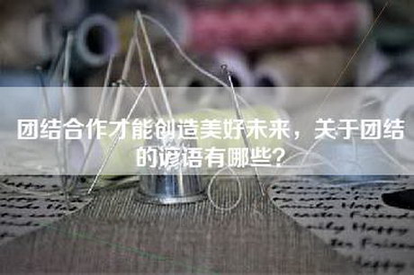 团结合作才能创造美好未来，关于团结的谚语有哪些？