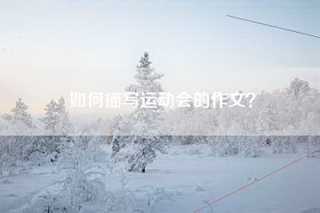 如何描写运动会的作文？