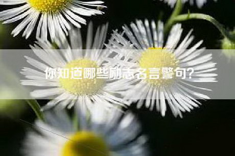 你知道哪些励志名言警句？