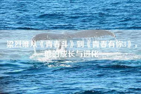 梁烈唯从《青春斗》到《青春有你3》，他的成长与进化