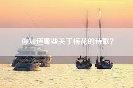 你知道哪些关于梅花的诗歌？