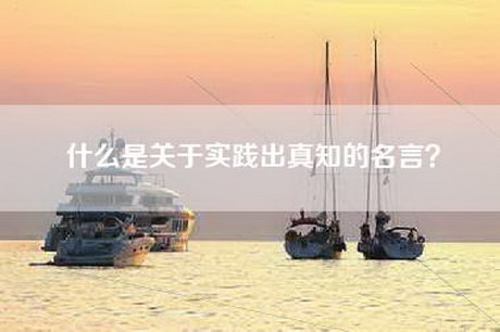什么是关于实践出真知的名言？