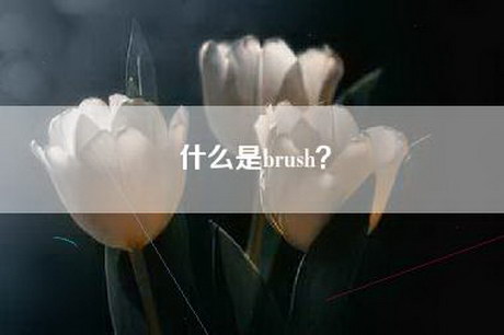 什么是brush？