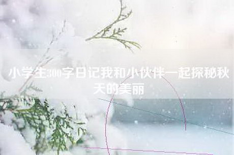 小学生300字日记我和小伙伴一起探秘秋天的美丽
