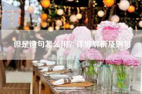 但是造句怎么用？详细解析及例句