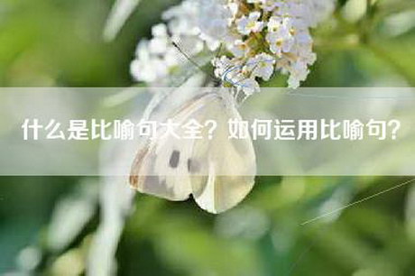 什么是比喻句大全？如何运用比喻句？