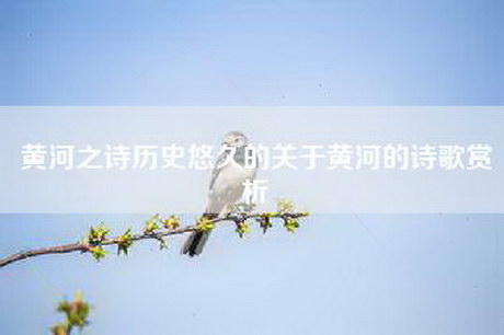 黄河之诗历史悠久的关于黄河的诗歌赏析