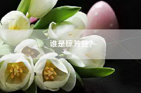 谁是琼芳登？