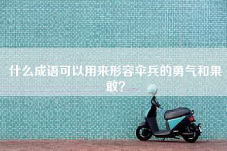 什么成语可以用来形容伞兵的勇气和果敢？