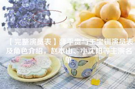 【完整演员表】薛平贵与王宝钏演员表及角色介绍，赵本山、小沈阳等主演名单