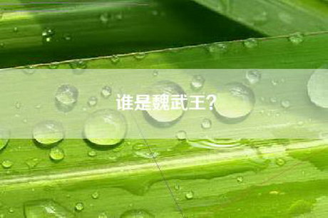 谁是魏武王？