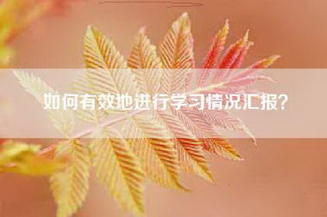 如何有效地进行学习情况汇报？