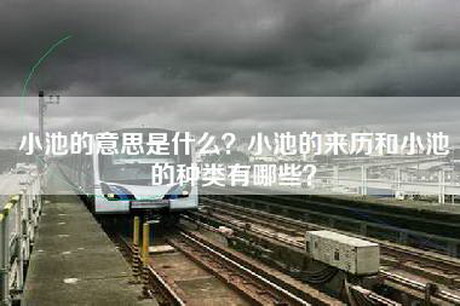 小池的意思是什么？小池的来历和小池的种类有哪些？
