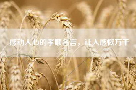 感动人心的孝顺名言，让人感慨万千