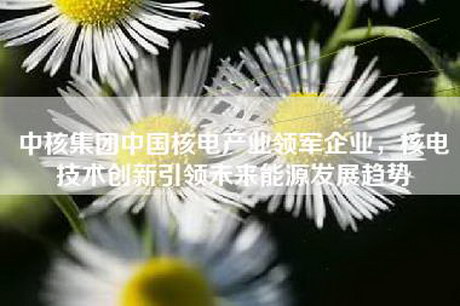 中核集团中国核电产业领军企业，核电技术创新引领未来能源发展趋势