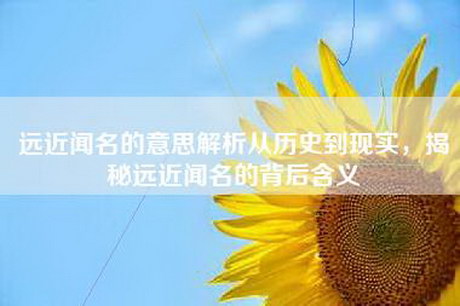 远近闻名的意思解析从历史到现实，揭秘远近闻名的背后含义