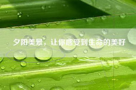 夕阳美景，让你感受到生命的美好