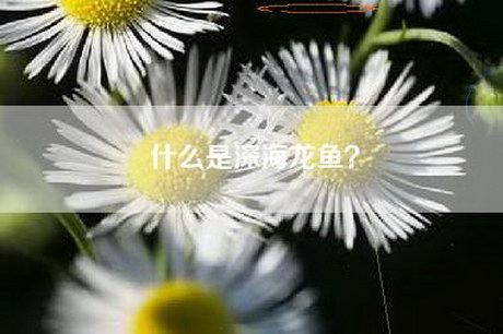 什么是深海龙鱼？