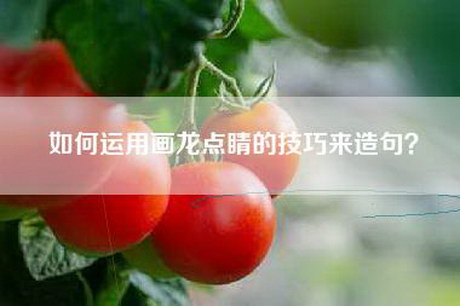 如何运用画龙点睛的技巧来造句？