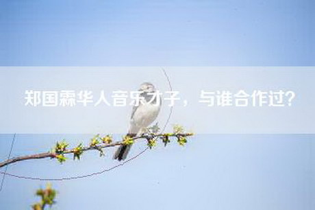 郑国霖华人音乐才子，与谁合作过？