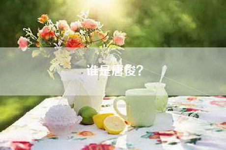 谁是唐俊？