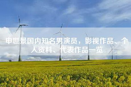 申世景国内知名男演员，影视作品、个人资料、代表作品一览