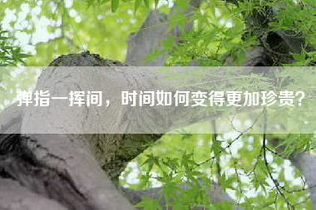 弹指一挥间，时间如何变得更加珍贵？